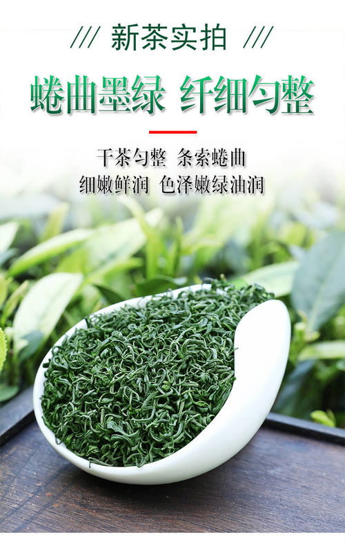 日照充足，高山云霧間品味春意 2020新茶炒青茶品鑒